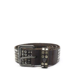 5.000 STUDS BELT BROWN